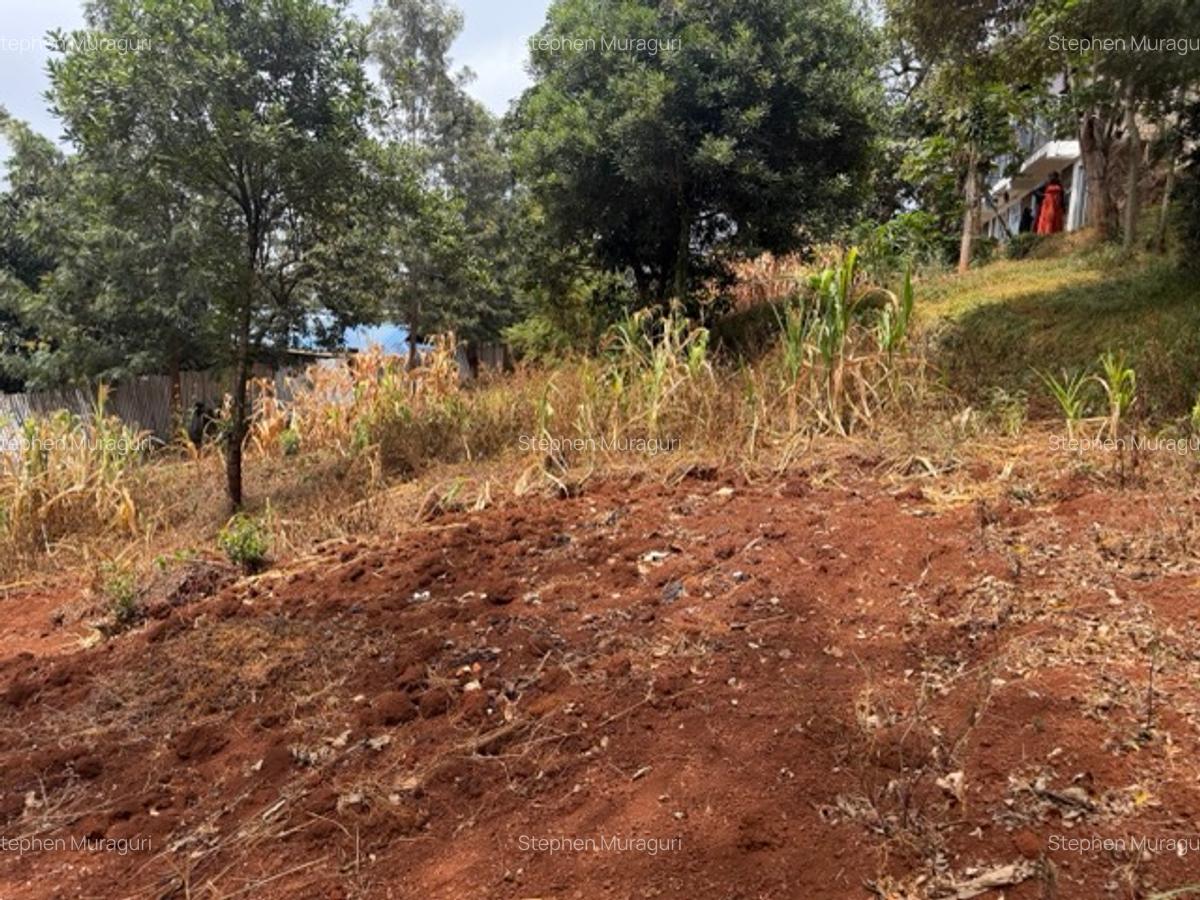 0.25 ac Land in Nyeri - 11