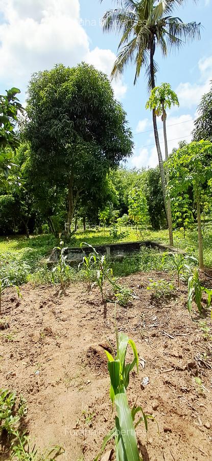 Land at Mtwapa - 18