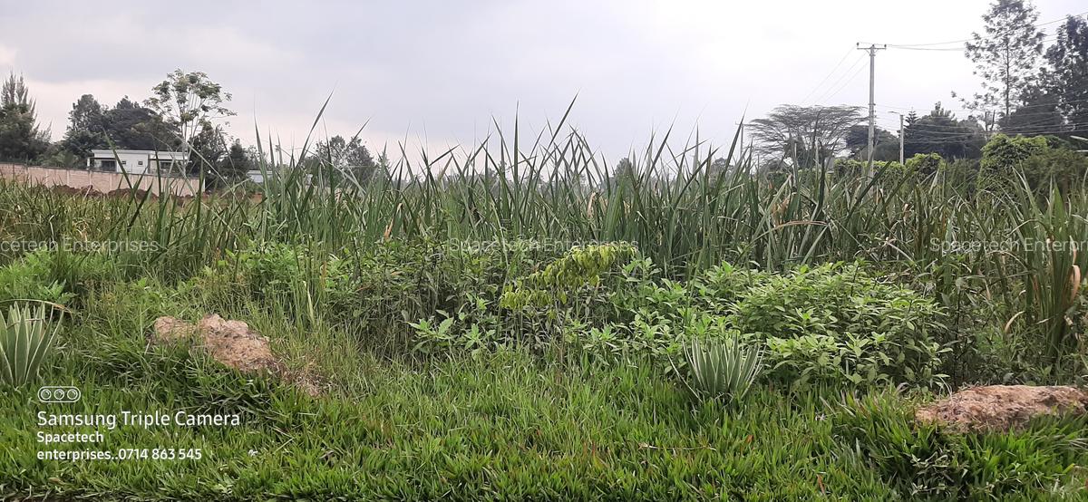 Land in Runda - 5