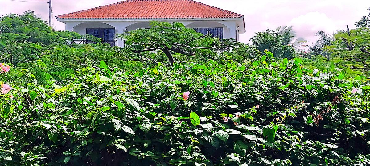 4 Bed House with En Suite at Kuruwitu Beach - 3