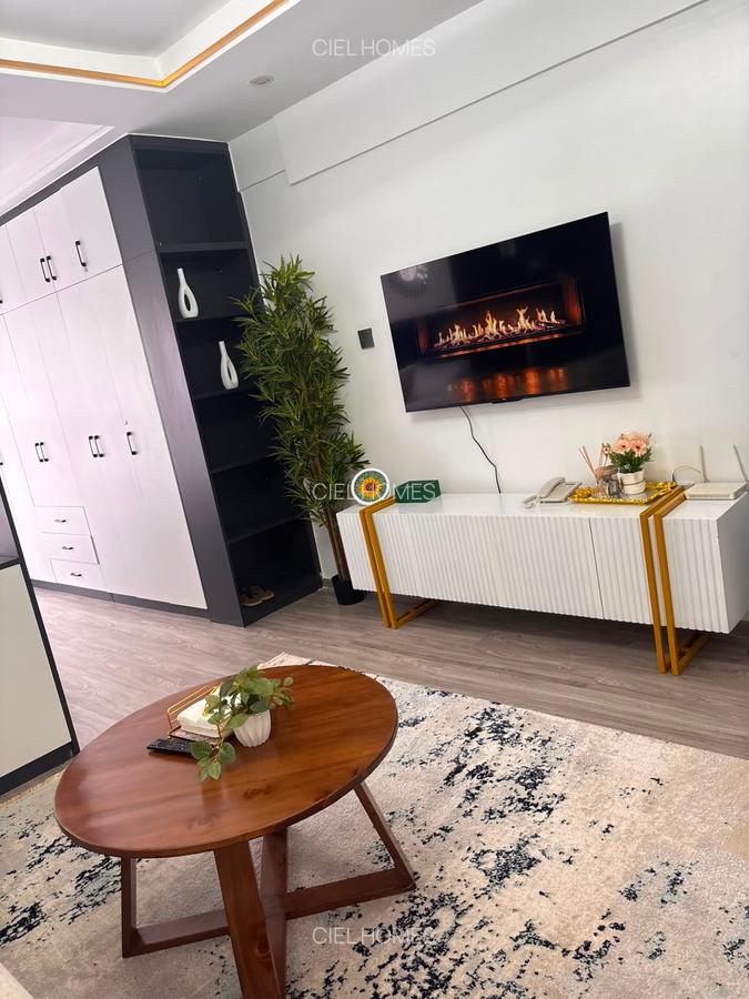 Serviced Studio Apartment with Gym at Tabere Drive - 10