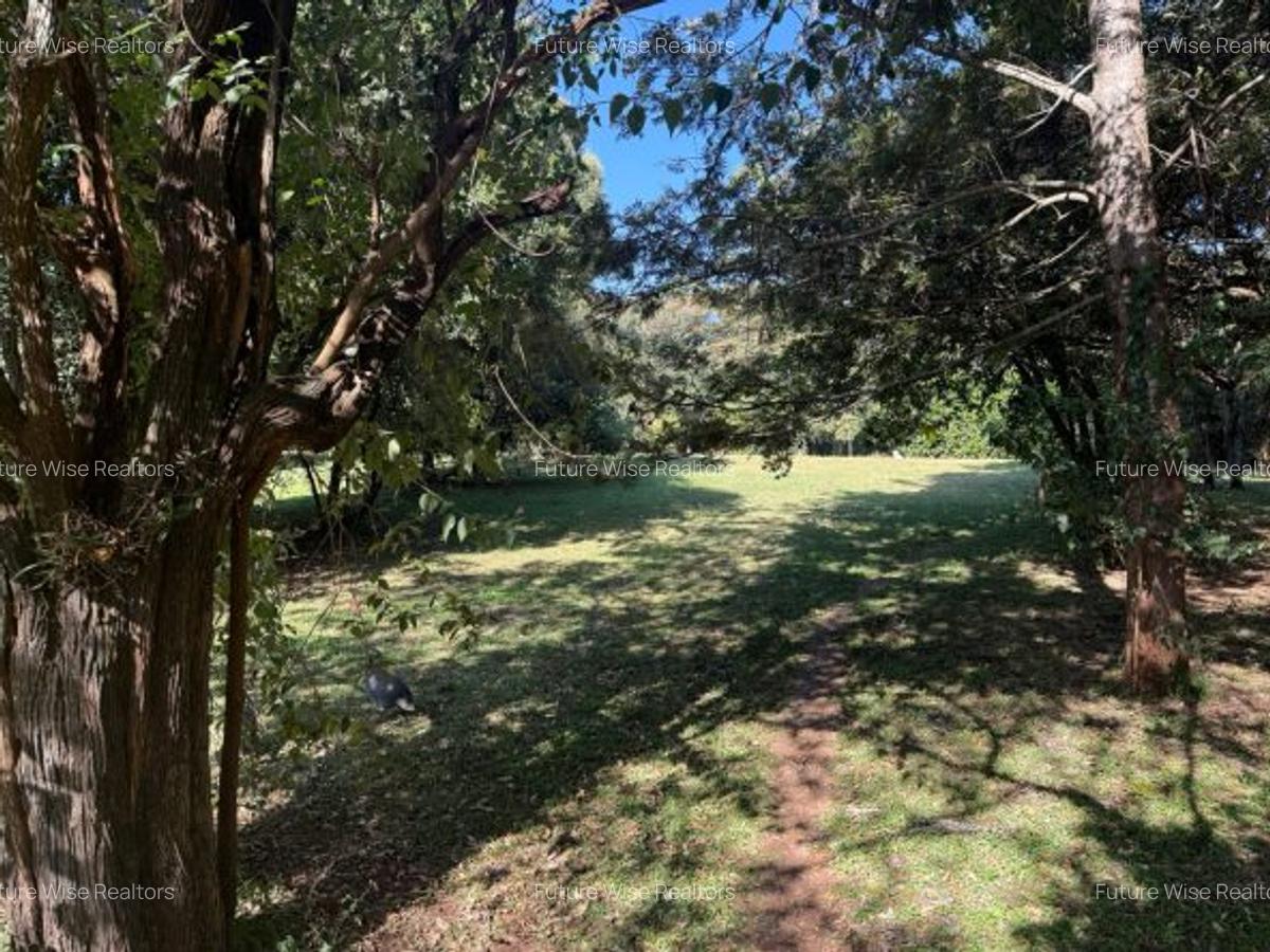 Land at Karen - 4