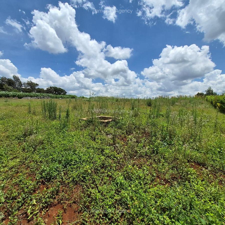 Residential Land in Runda - 5