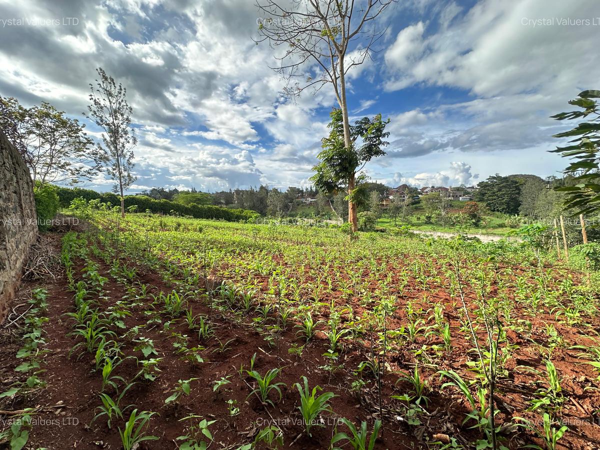 Land in Thika - 2