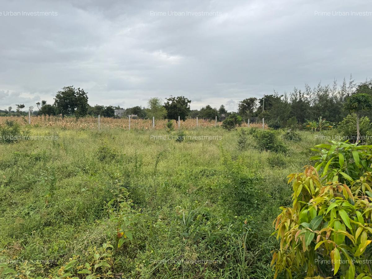 1 ac Land at Vipingo Mombasa Malindi Road - 7