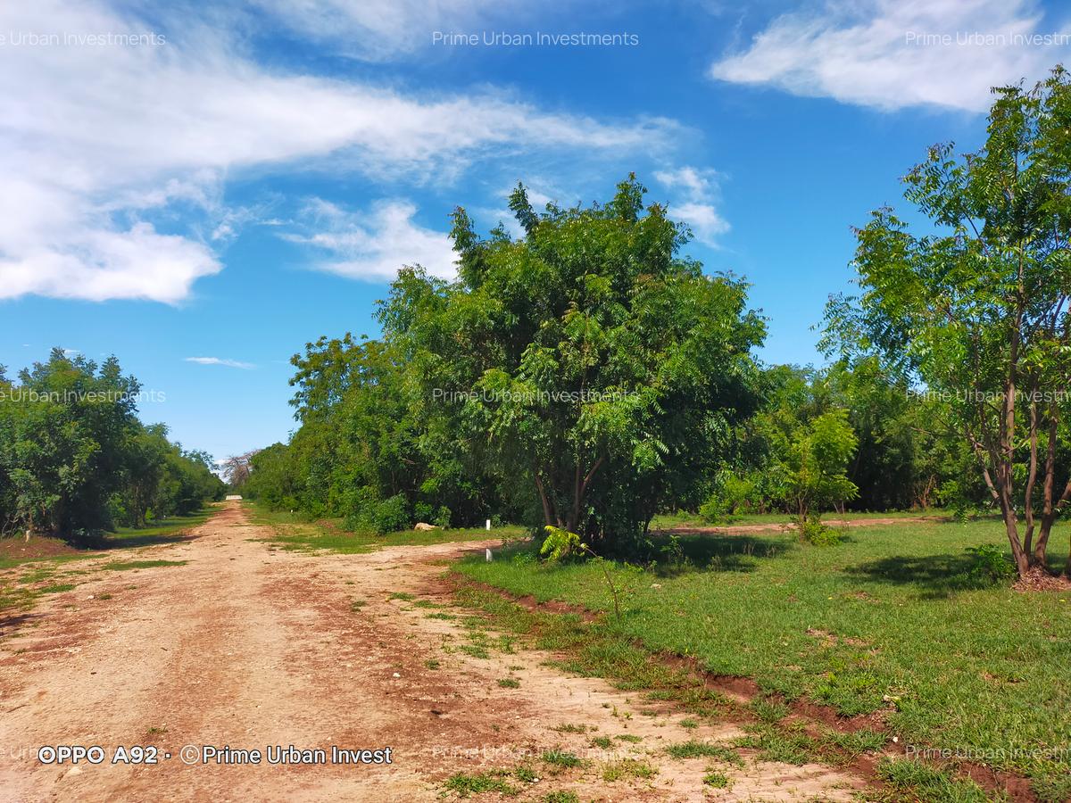 Land in Vipingo - 5