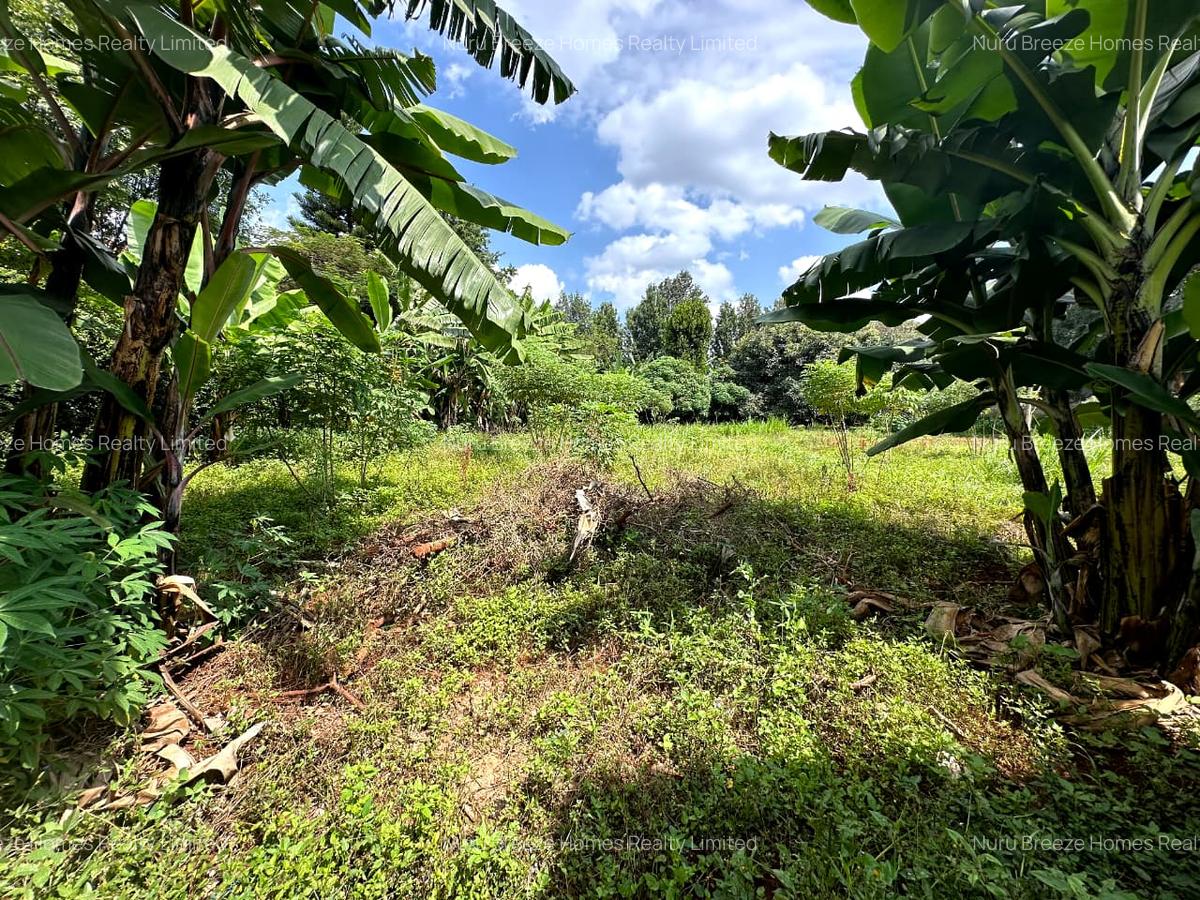 land for sale — image 1 of 4