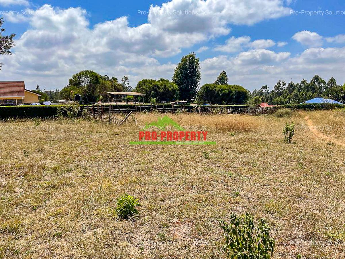 0.4 ha Land at Ondiri - 9