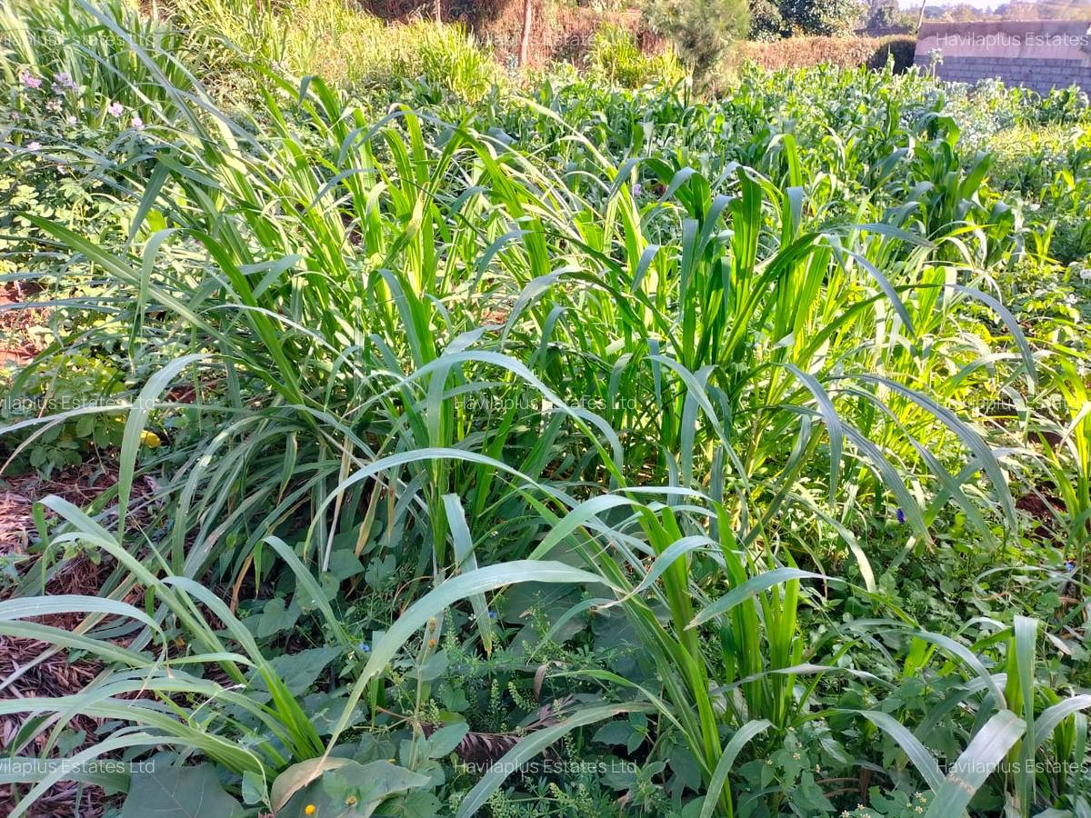 Commercial Land at Thogoto Area - 7