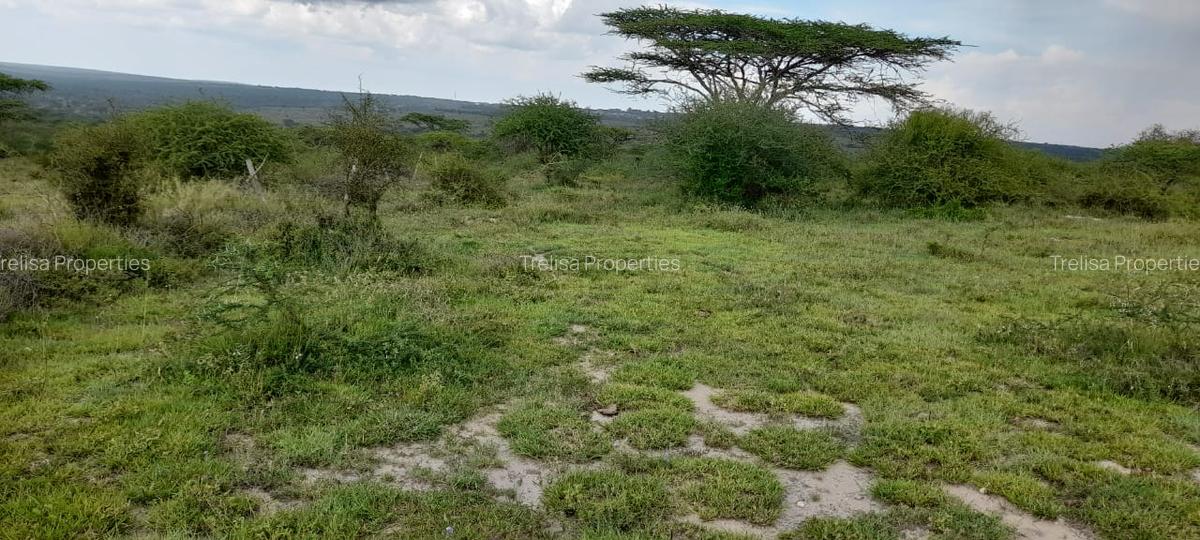 0.115 ac Land at Magadi Road - 3