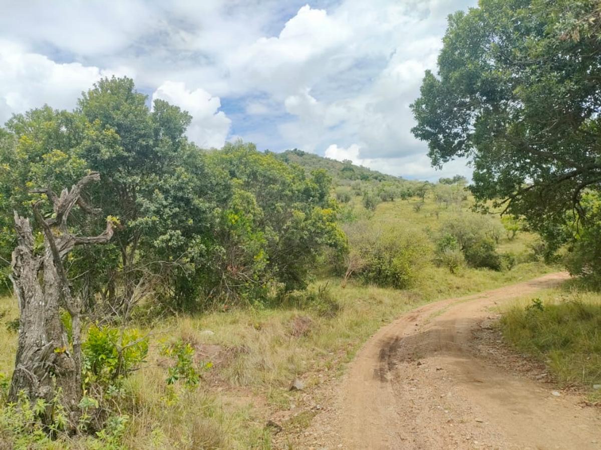 Land in Narok - 2