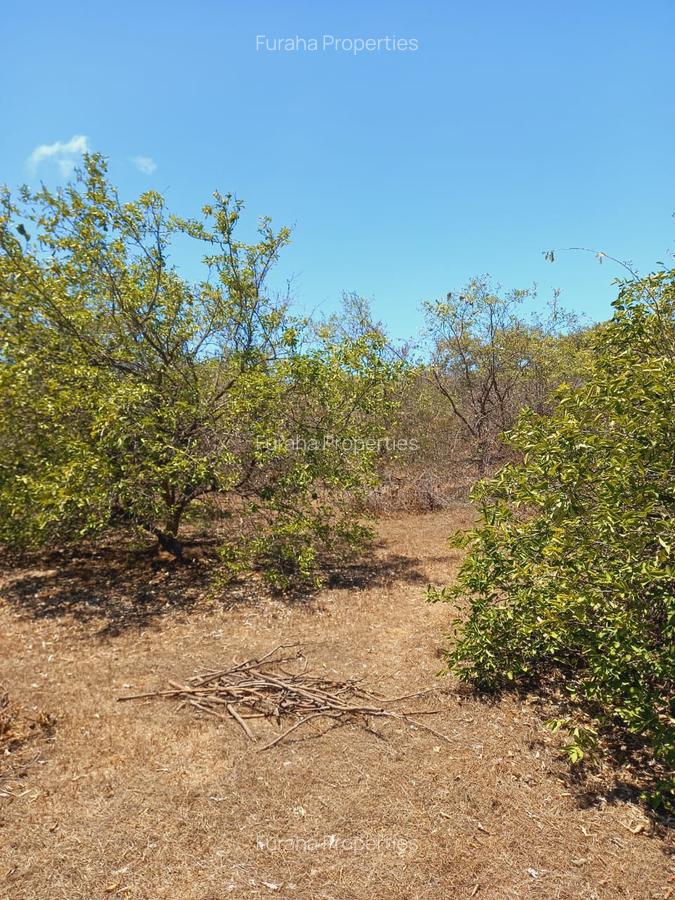 Land at Near Munarani - 5