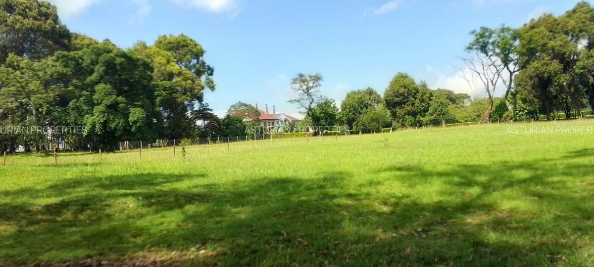 1 ac Land in Karen - 1