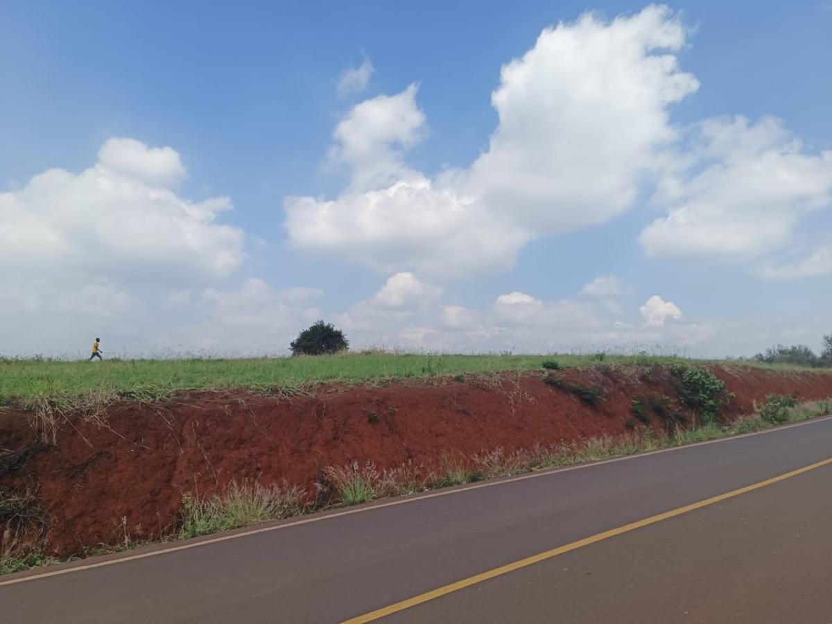 5 ac Land at Near Tatu City - 4