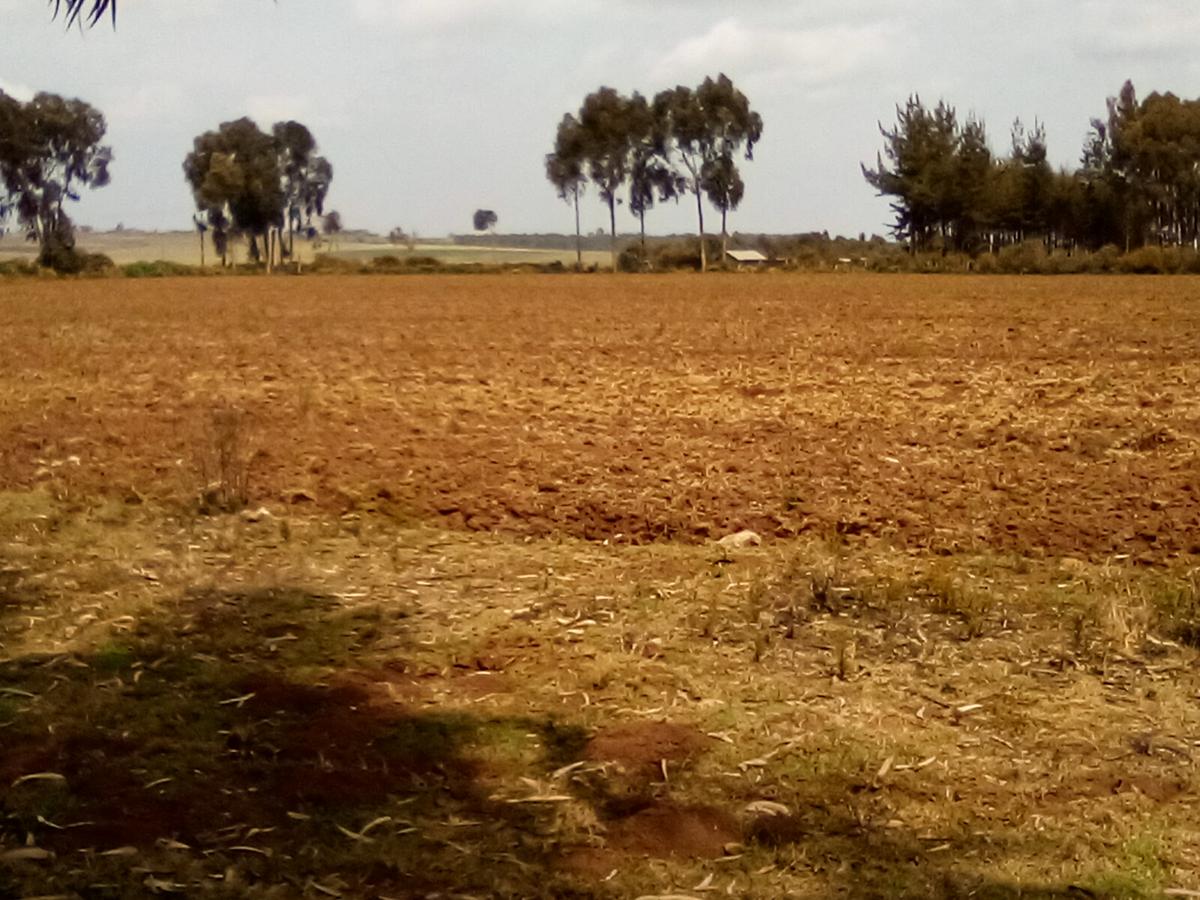 Land at Timau - 6