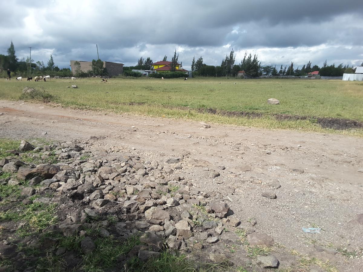 1 ac Residential Land in Ongata Rongai - 14