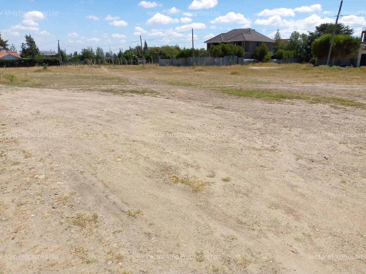 Residential Land at Chuna - 4