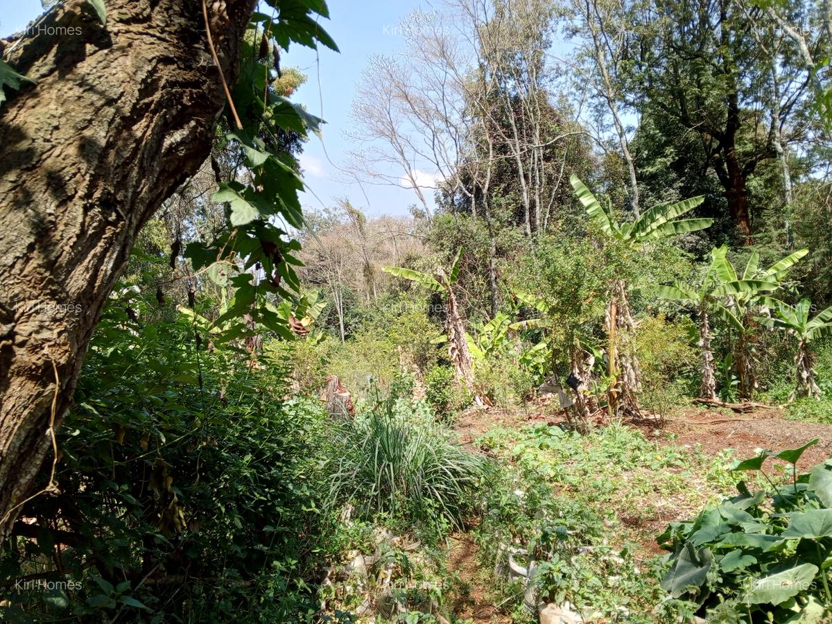 Land in Karen Hardy - 8