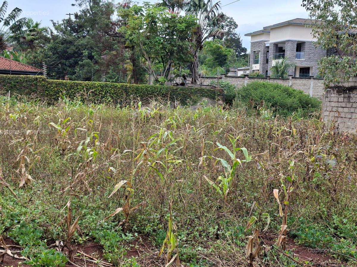 Residential Land in Runda - 7