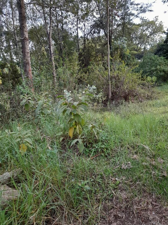 0.5 ac Residential Land in Karen - 6