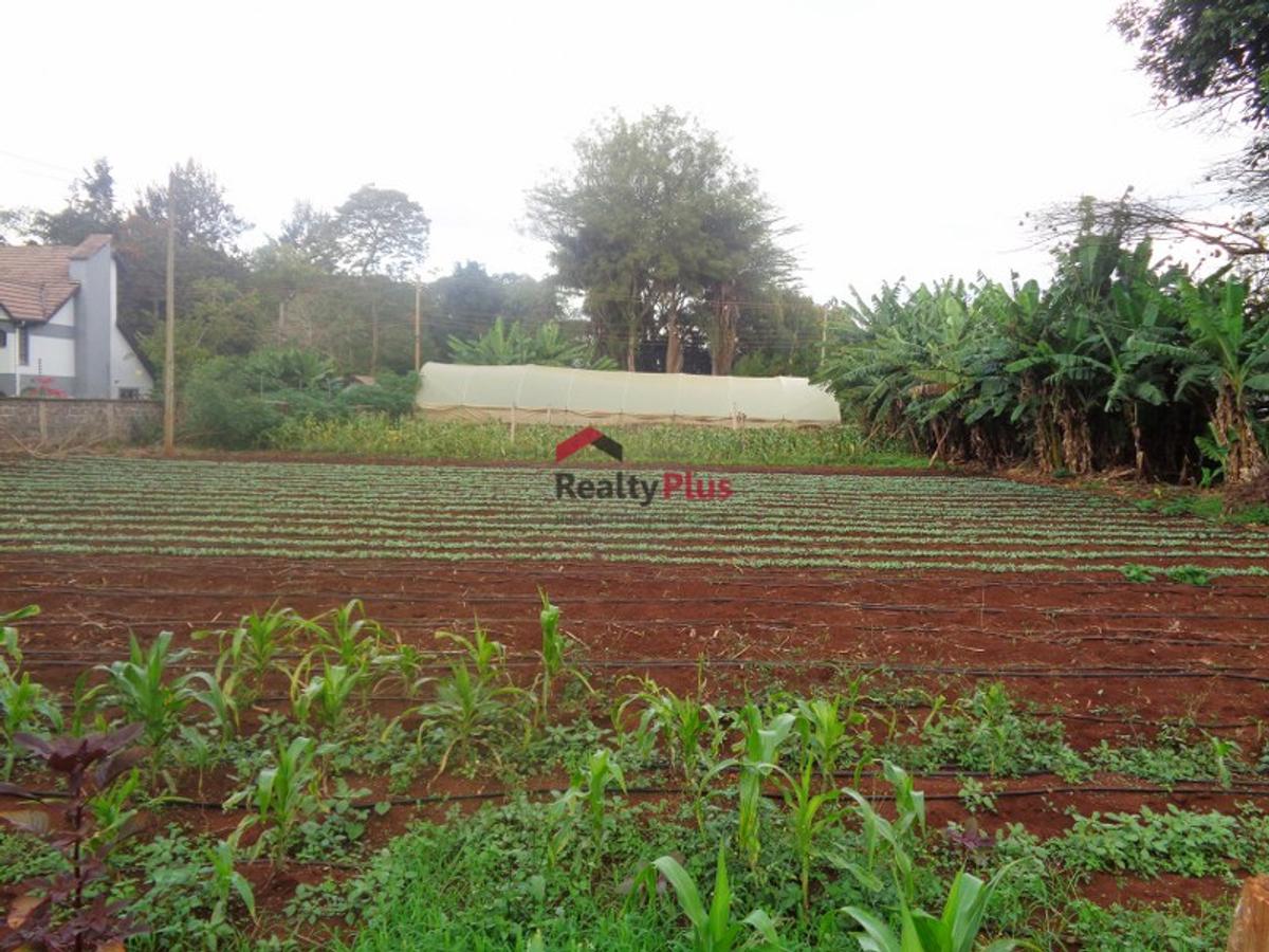 0.5 ac Land in Kitisuru - 5