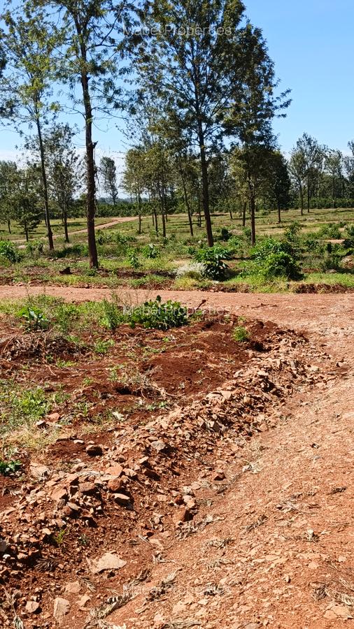 Residential Land at Gatanga Road - 5