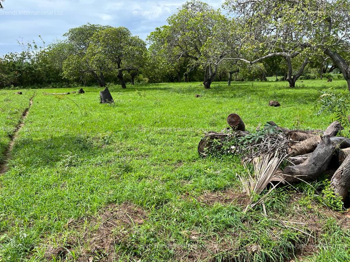 Land in Kilifi - 1