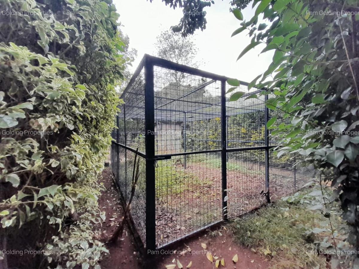 4 Bed House with En Suite in Karen - 19