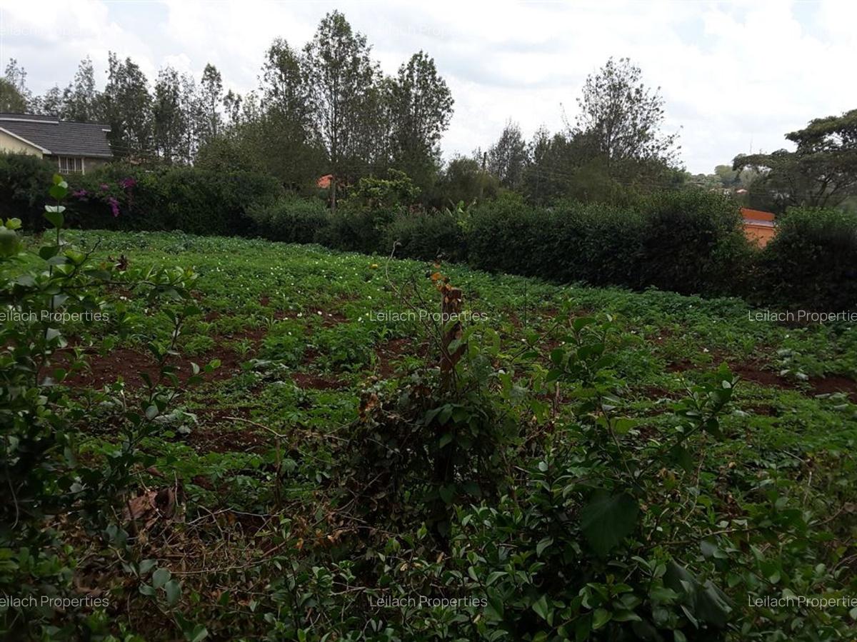 0.25 ac Residential Land in Ngong - 3