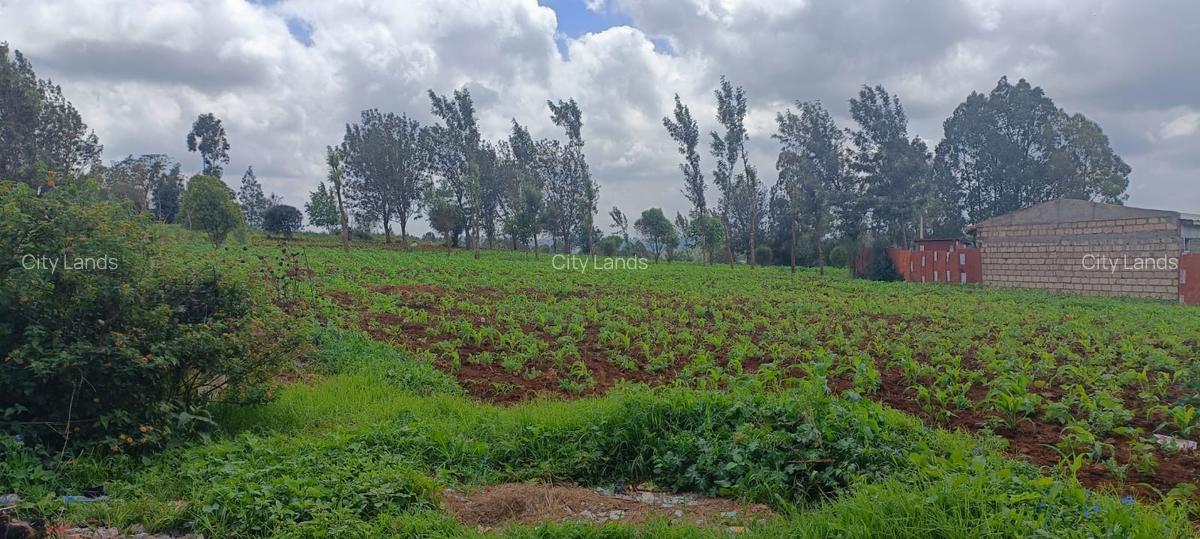 0.05 ha Residential Land at Kikuyu Kamangu Ruthigiti - 1