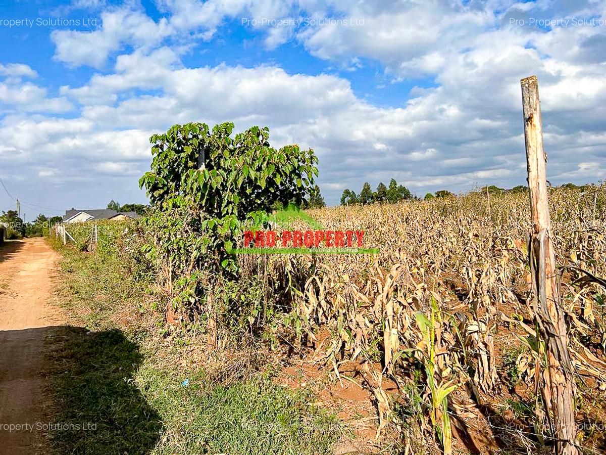 0.05 ha Residential Land in Kamangu - 10