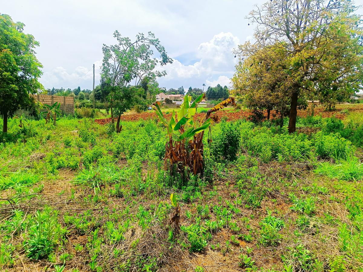 500 m² Residential Land at Charismatic Area - 3