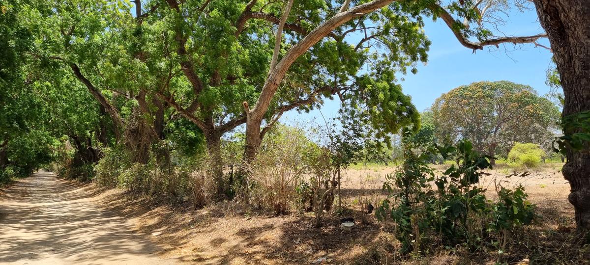 75 ac Land at Vipingo - 10