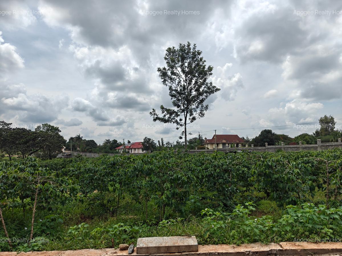 0.5 ac Land at Runda - 5