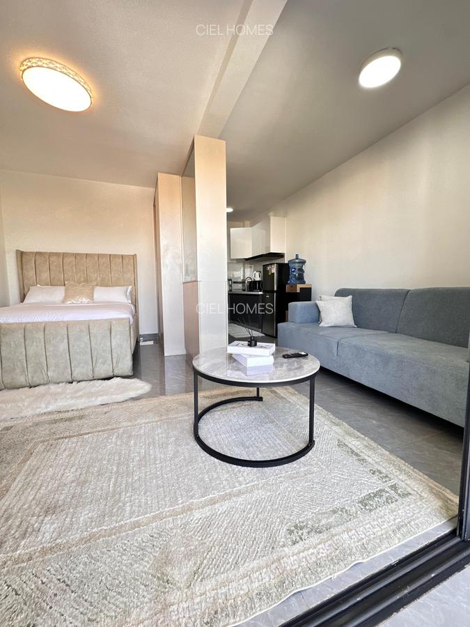 Studio Apartment with En Suite at Othaya Road - 5