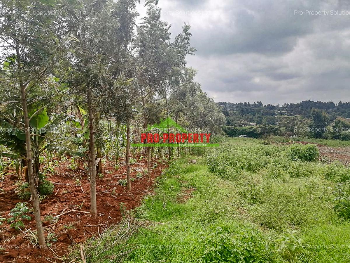 0.125 ac Residential Land at Migumoini - 9
