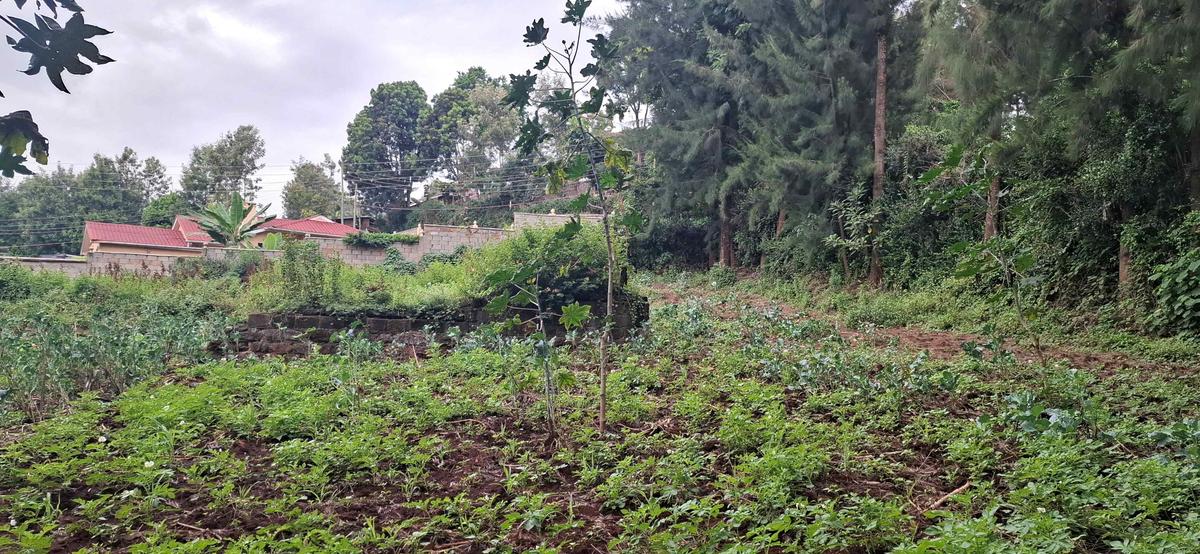 0.5 ac Land in Ngong - 13