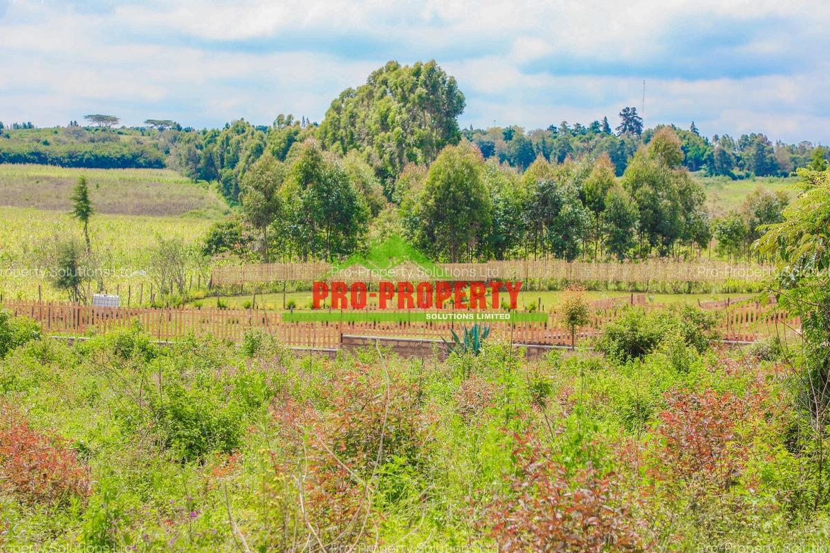 0.05 ha Residential Land at Ondiri - 4