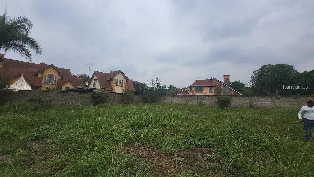 0.5 ac Land at Old Runda - 6