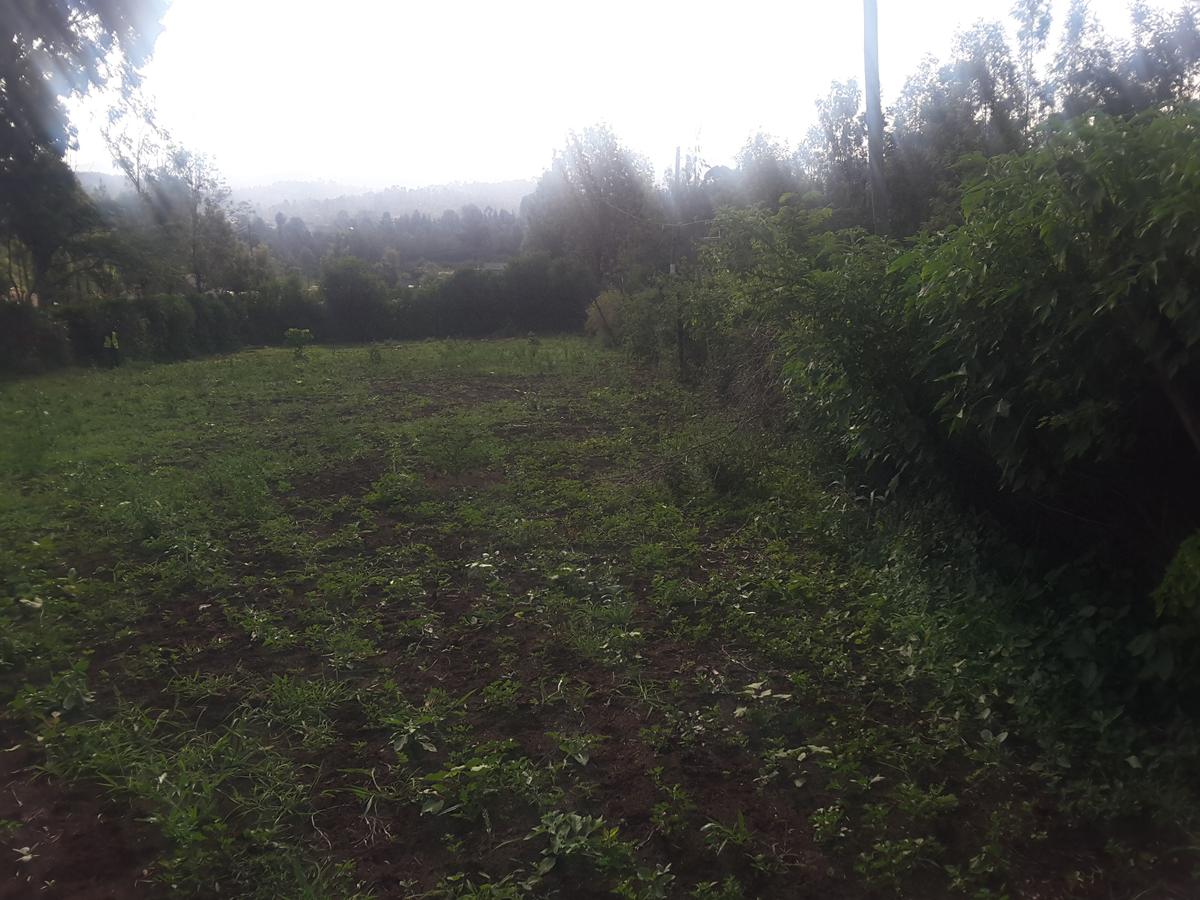 0.25 ac Land in Ngong - 3