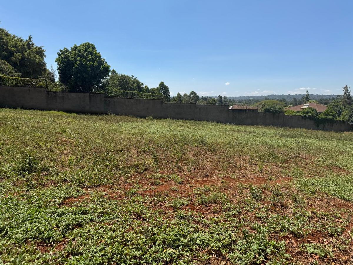 0.6 ac Residential Land in Runda - 2