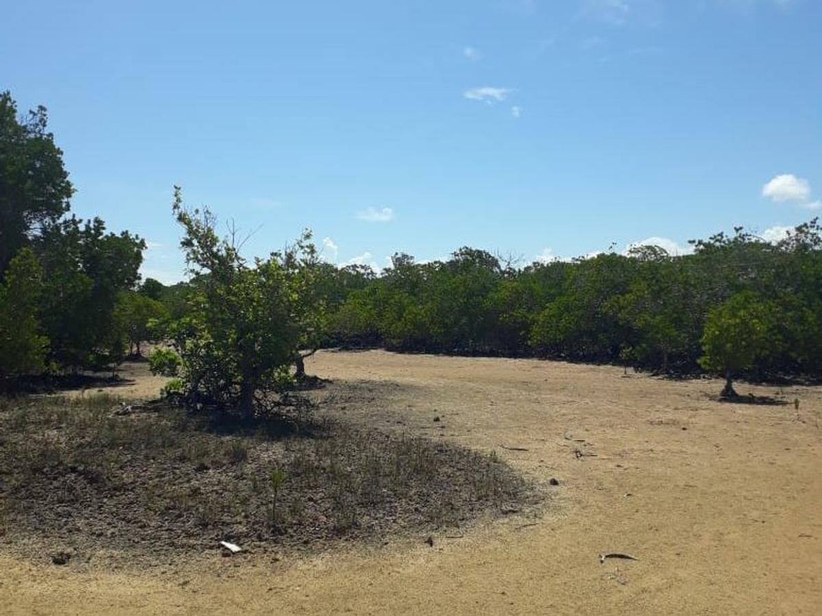 56,658 m² Commercial Land at Funzi Island - 4