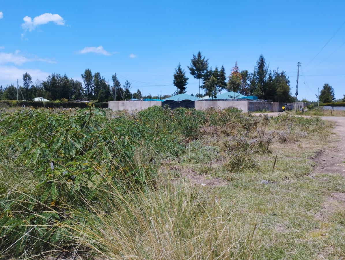 0.25 ac Residential Land at Baraka Runda - 4