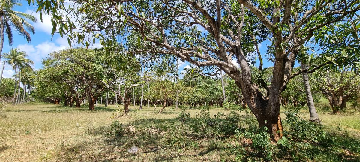 6 ac Land at Mtwapa - 6