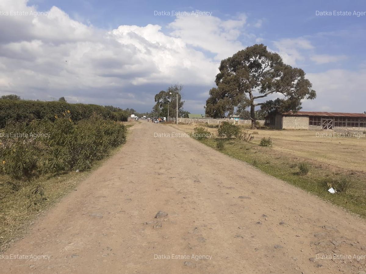 0.125 ac Land in Nanyuki - 16
