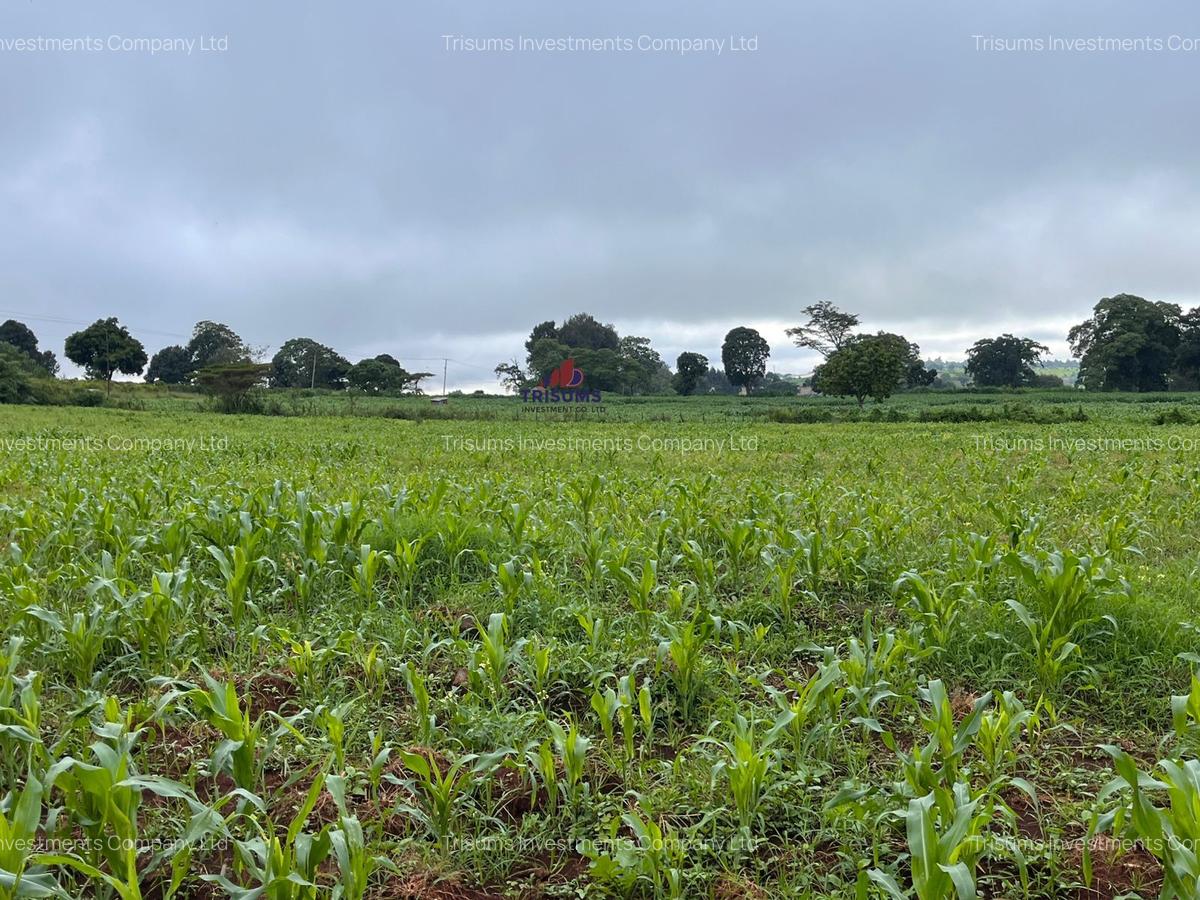 3.7 ac Land at Kiambu - 1