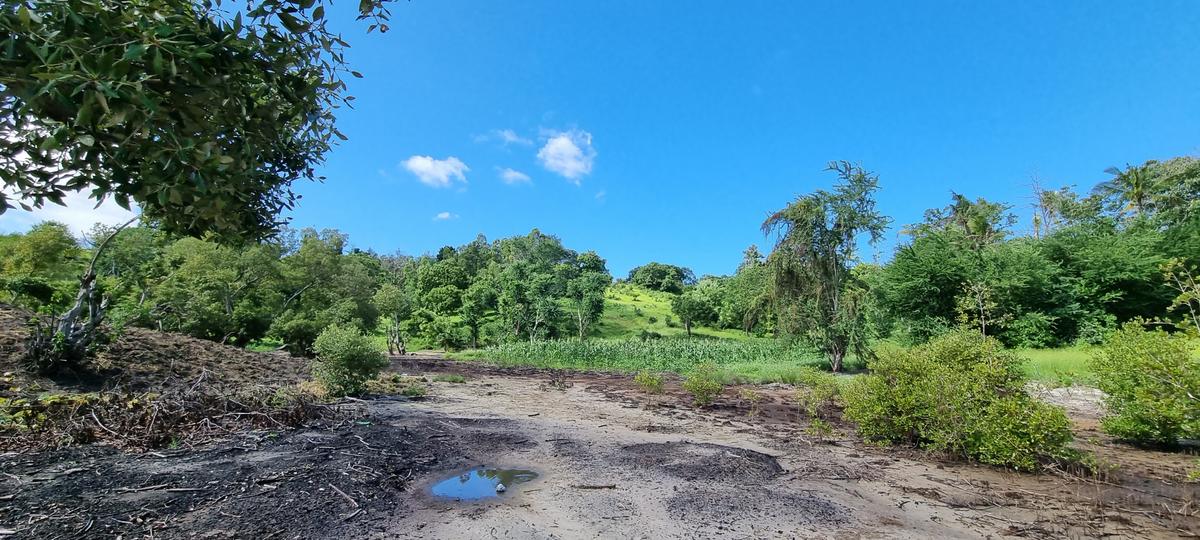 2.5 ac Land at Mtwapa Creekside - 1