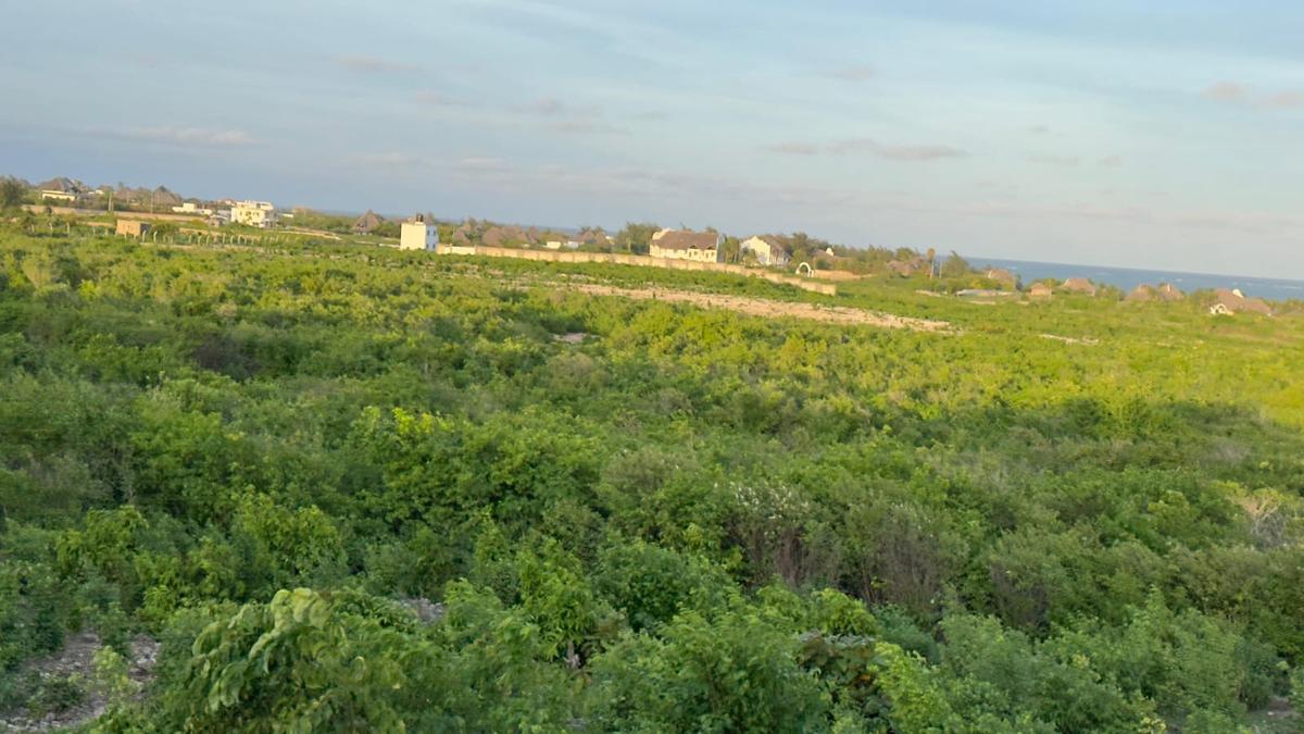 0.125 ac Land at Mayungu - 2