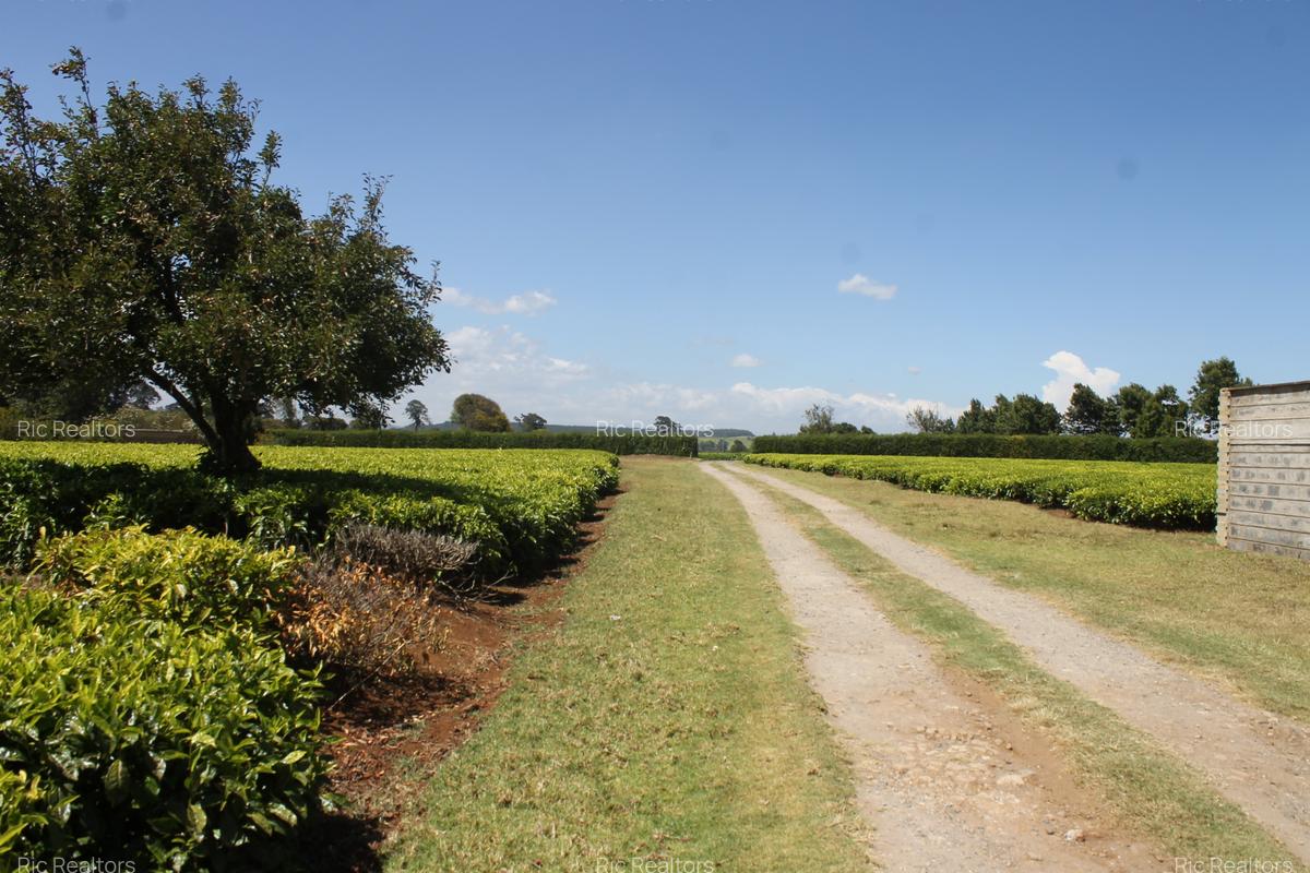 4 Bed Townhouse with En Suite at Tigoni - Limuru - 8