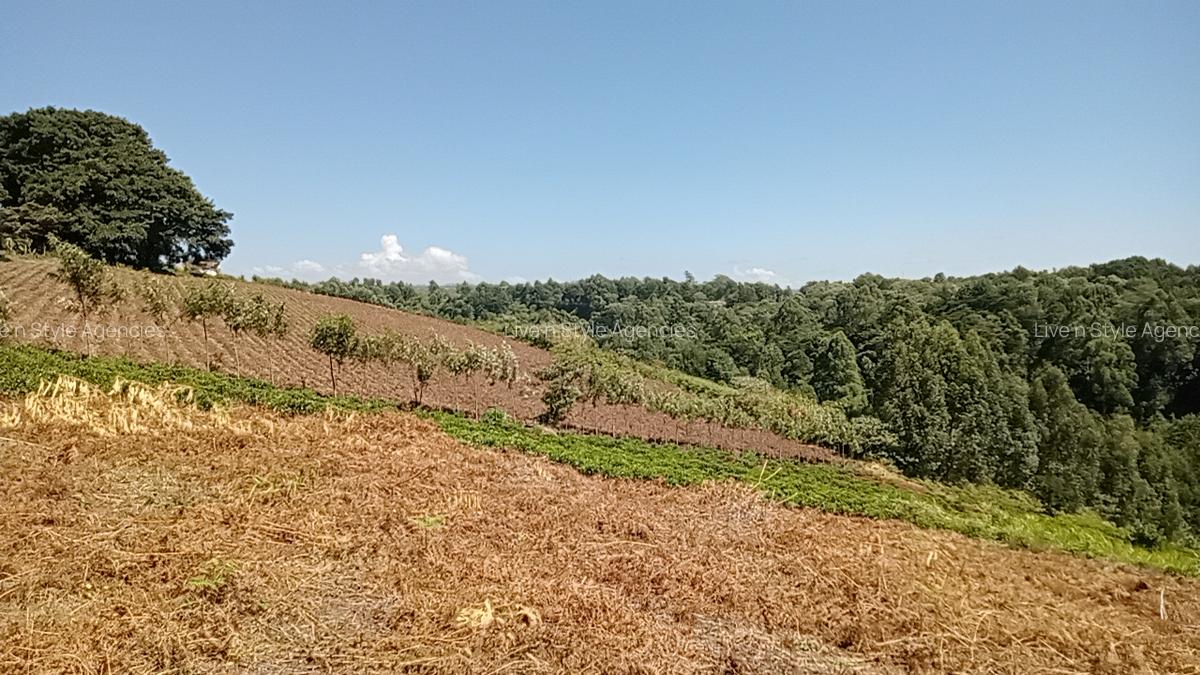 Residential Land in Redhill - 1